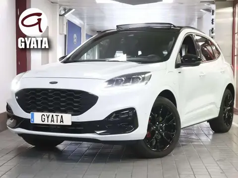 Used FORD KUGA  2023 Ad 