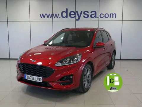 Used FORD KUGA Petrol 2021 Ad 