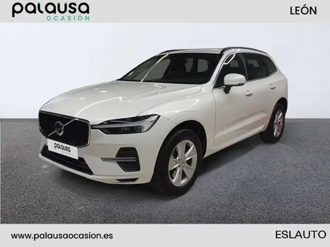 Used VOLVO XC60 Diesel 2023 Ad 