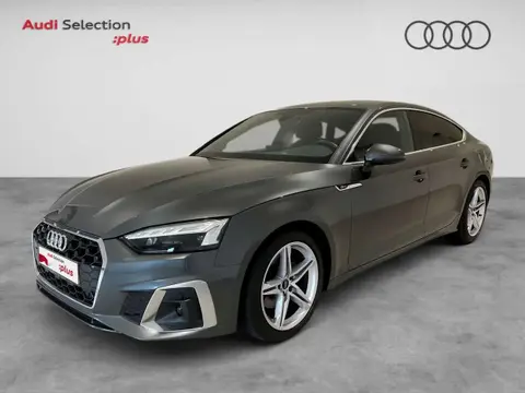 Used AUDI A5 Diesel 2023 Ad 