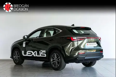 Annonce LEXUS NX Hybride 2024 d'occasion 