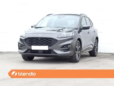 Used FORD KUGA  2022 Ad 