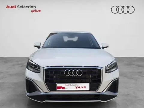 Annonce AUDI Q2 Essence 2024 d'occasion 