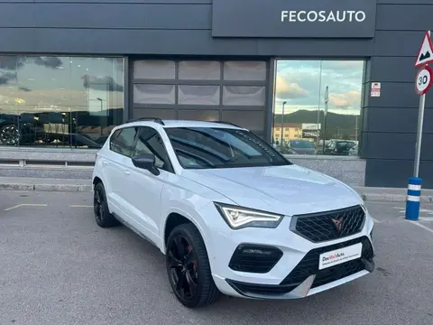 Annonce CUPRA ATECA Essence 2024 d'occasion 