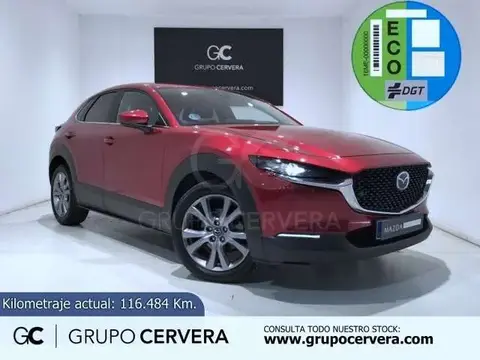 Annonce MAZDA CX-30 Essence 2020 d'occasion 