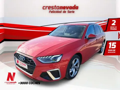 Annonce AUDI A4 Hybride 2020 d'occasion 