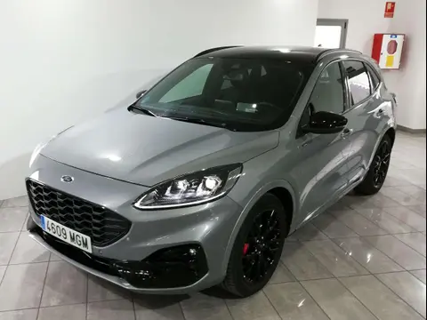 Annonce FORD KUGA Hybride 2023 d'occasion 