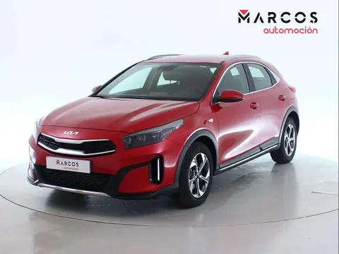 Used KIA XCEED Petrol 2023 Ad 