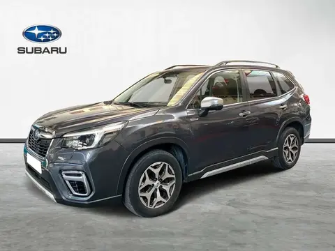 Used SUBARU FORESTER Hybrid 2021 Ad 