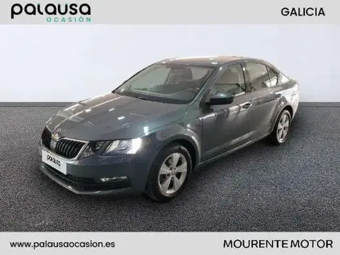 Annonce SKODA OCTAVIA Diesel 2019 d'occasion 