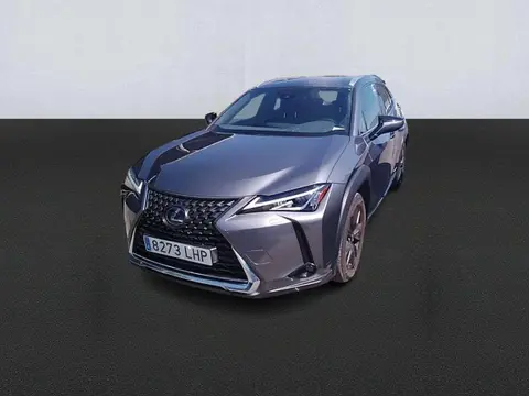 Annonce LEXUS UX Hybride 2020 d'occasion 