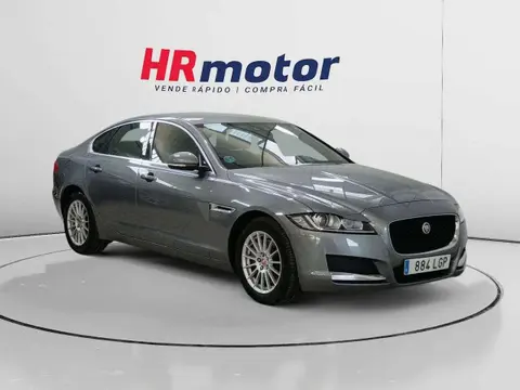 Used JAGUAR XF Diesel 2020 Ad 