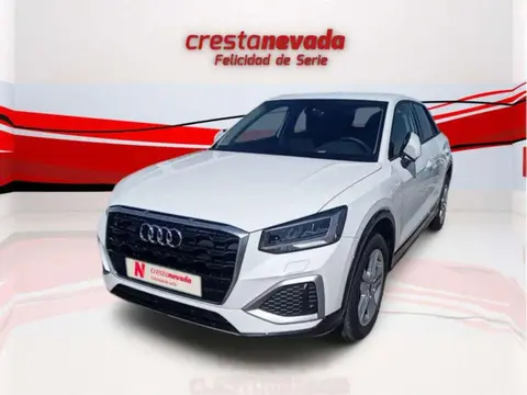 Used AUDI Q2 Diesel 2023 Ad 