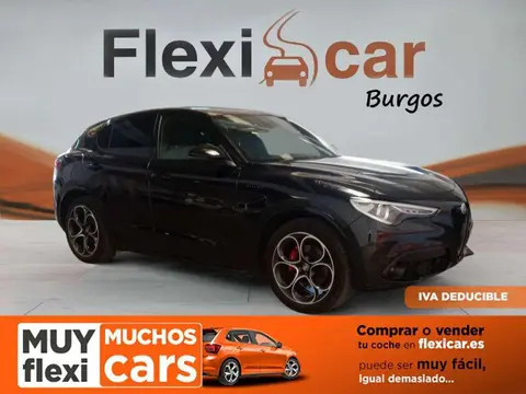 Used ALFA ROMEO STELVIO Diesel 2021 Ad 