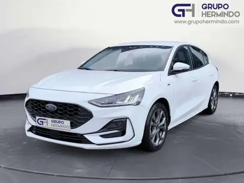 Used FORD FOCUS Petrol 2023 Ad 