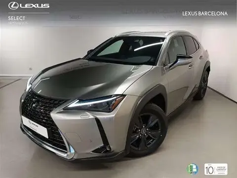 Used LEXUS UX Hybrid 2023 Ad 