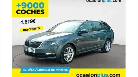 Annonce SKODA OCTAVIA Diesel 2019 d'occasion 