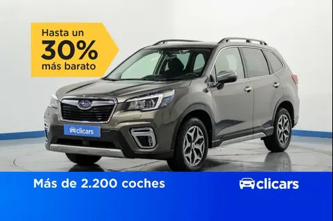 Used SUBARU FORESTER Hybrid 2020 Ad 