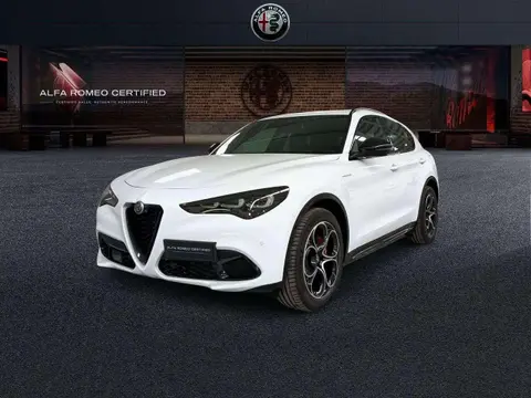 Annonce ALFA ROMEO STELVIO Diesel 2023 d'occasion 