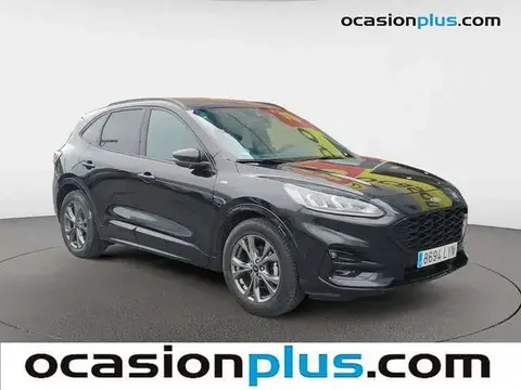 Used FORD KUGA Petrol 2022 Ad 