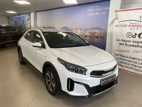 Used KIA XCEED Petrol 2022 Ad 