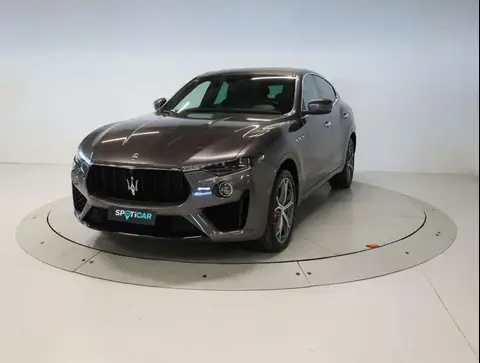 Used MASERATI LEVANTE Petrol 2019 Ad 