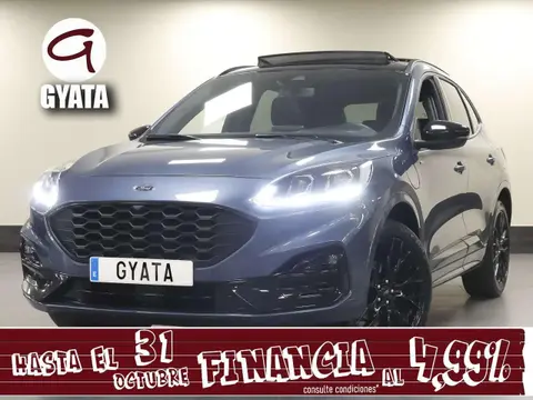 Used FORD KUGA Hybrid 2023 Ad 