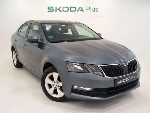 Annonce SKODA OCTAVIA Diesel 2019 d'occasion 