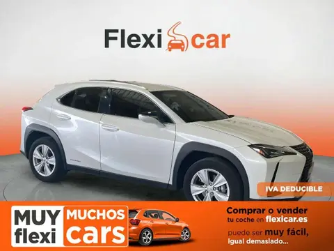 Used LEXUS UX Hybrid 2020 Ad 