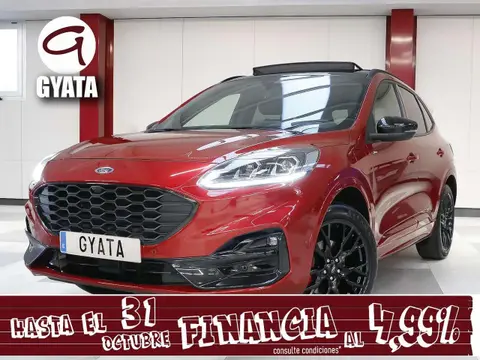 Used FORD KUGA Hybrid 2023 Ad 