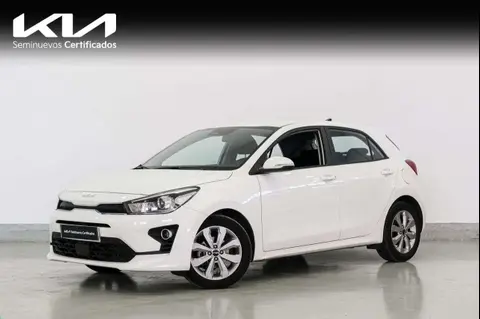 Used KIA RIO Petrol 2022 Ad 