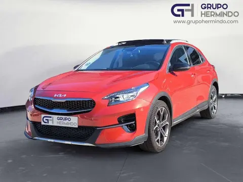 Annonce KIA XCEED Hybride 2022 d'occasion 