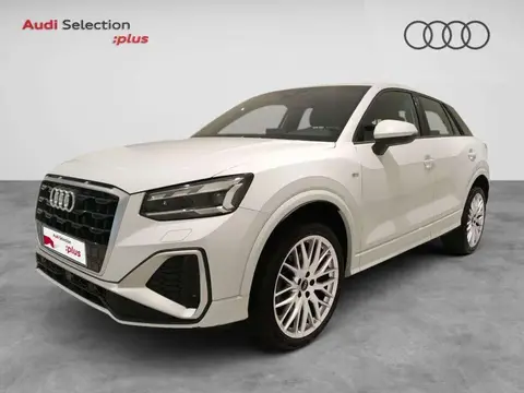 Annonce AUDI Q2 Diesel 2024 d'occasion 