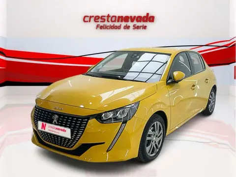 Used PEUGEOT 208 Petrol 2021 Ad 