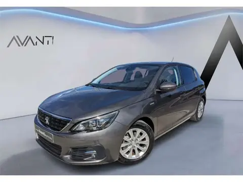 Annonce PEUGEOT 308 Essence 2019 d'occasion 