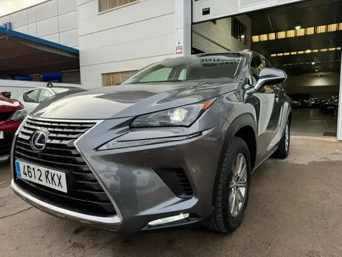 Annonce LEXUS NX Hybride 2018 d'occasion 