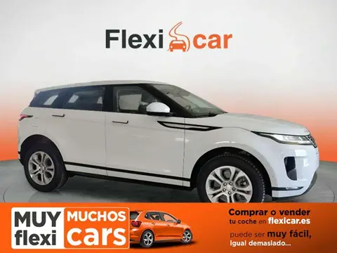 Used LAND ROVER RANGE ROVER EVOQUE Diesel 2020 Ad 