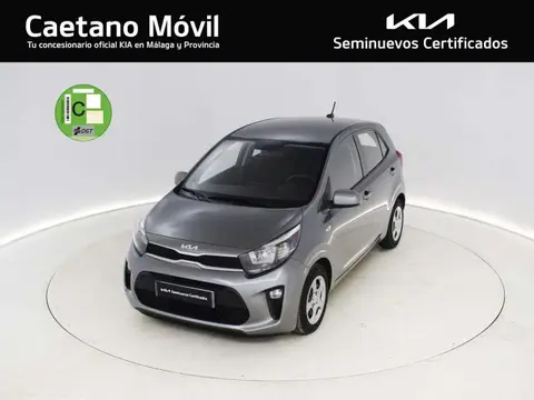 Used KIA PICANTO Petrol 2023 Ad 