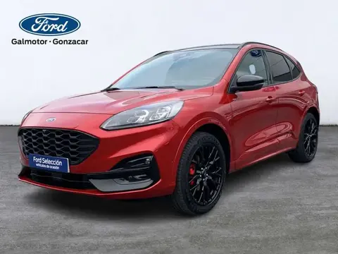 Annonce FORD KUGA Électrique 2024 d'occasion 