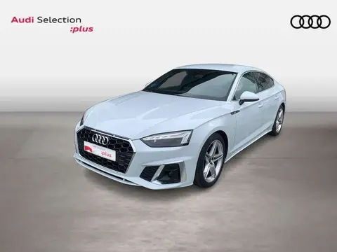 Used AUDI A5 Diesel 2023 Ad 