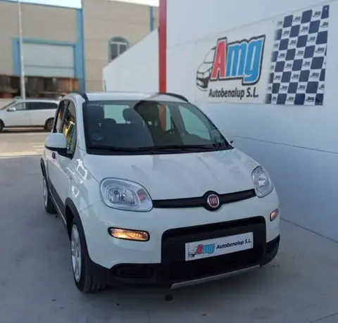 Used FIAT PANDA  2023 Ad 