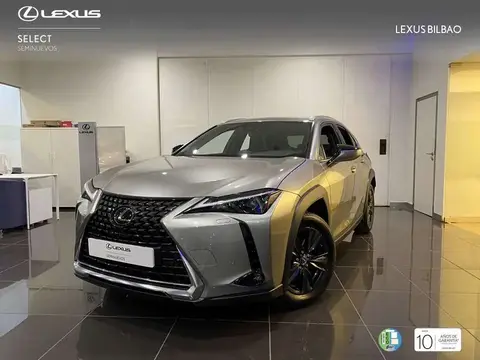 Used LEXUS UX Electric 2024 Ad 