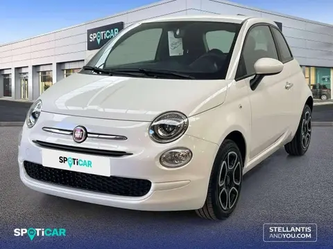 Used FIAT 500 Petrol 2023 Ad 