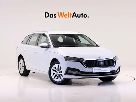 Used SKODA OCTAVIA Diesel 2023 Ad 