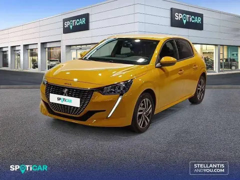 Used PEUGEOT 208 Petrol 2023 Ad 