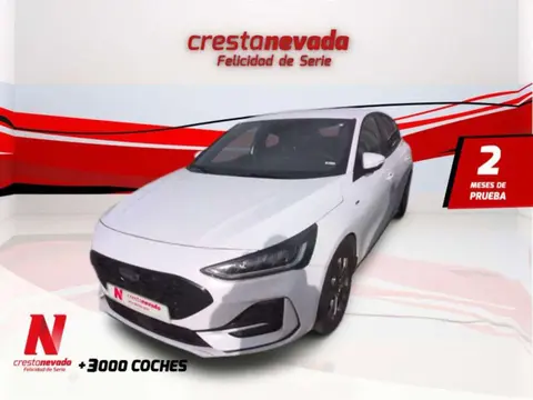 Used FORD FOCUS Hybrid 2022 Ad 