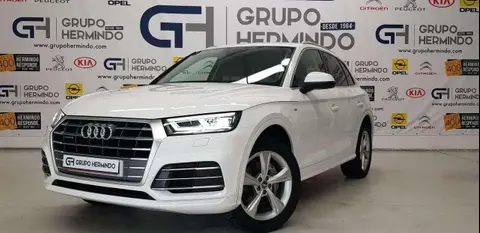 Used AUDI Q5 Diesel 2018 Ad 