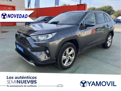 Used TOYOTA RAV4 Hybrid 2020 Ad 