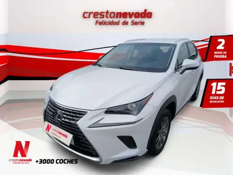 Used LEXUS NX Hybrid 2019 Ad 