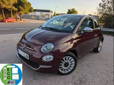 Used FIAT 500 Petrol 2020 Ad 